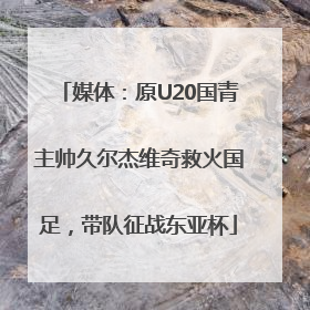 媒体：原U20国青主帅久尔杰维奇救火国足，带队征战东亚杯