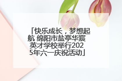 快乐成长，梦想起航 绵阳市盐亭华宸英才学校举行2025年六一庆祝活动