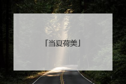 当夏荷美