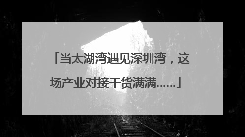 当太湖湾遇见深圳湾，这场产业对接干货满满……