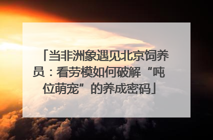 当非洲象遇见北京饲养员：看劳模如何破解“吨位萌宠”的养成密码