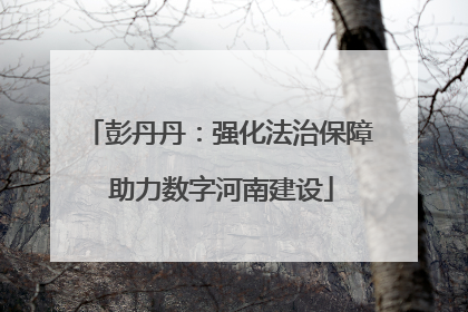 彭丹丹：强化法治保障 助力数字河南建设