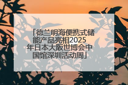 德兰明海便携式储能产品亮相2025年日本大阪世博会中国馆深圳活动周