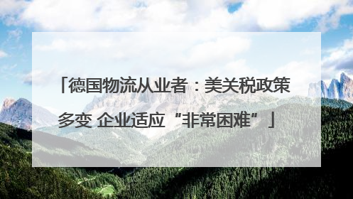 德国物流从业者：美关税政策多变 企业适应“非常困难”