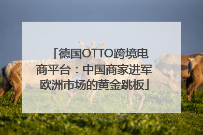 德国OTTO跨境电商平台：中国商家进军欧洲市场的黄金跳板