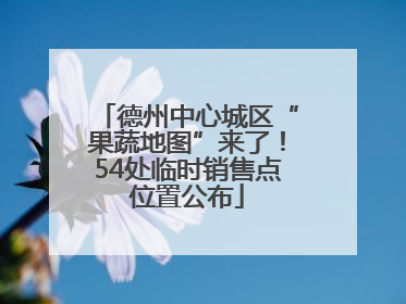 德州中心城区“果蔬地图”来了！54处临时销售点位置公布