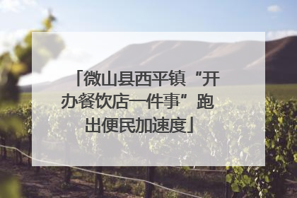 微山县西平镇“开办餐饮店一件事”跑出便民加速度