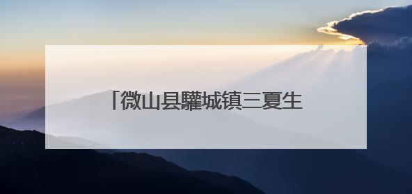 微山县驩城镇三夏生产跑出 “加速度”