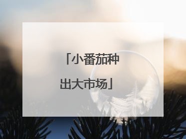 小番茄种出大市场