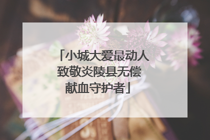 小城大爱最动人 致敬炎陵县无偿献血守护者