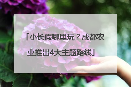 小长假哪里玩？成都农业推出4大主题路线