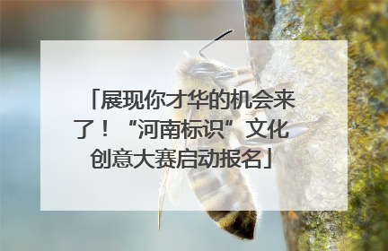 展现你才华的机会来了！“河南标识”文化创意大赛启动报名