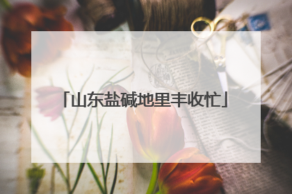 山东盐碱地里丰收忙