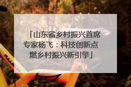 山东省乡村振兴首席专家杨飞：科技创新点燃乡村振兴新引擎