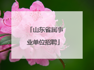山东省属事业单位招聘