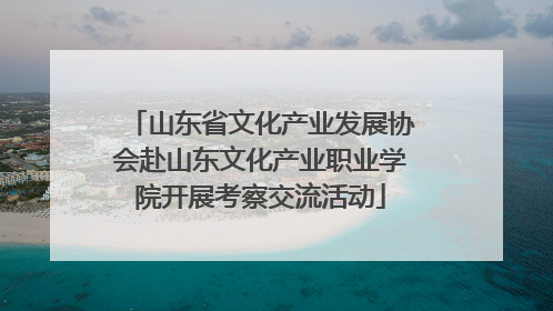 山东省文化产业发展协会赴山东文化产业职业学院开展考察交流活动