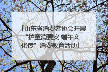 山东省消费者协会开展 “护童消费安 端午文化传”消费教育活动
