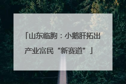 山东临朐：小鹅肝拓出产业富民“新赛道”