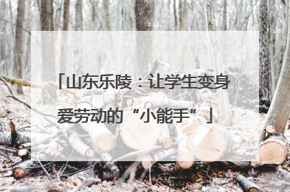 山东乐陵：让学生变身爱劳动的“小能手”