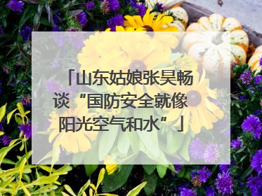 山东姑娘张昊畅谈“国防安全就像阳光空气和水”
