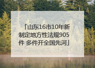 山东16市10年新制定地方性法规905件 多件开全国先河