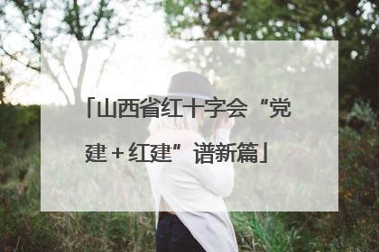 山西省红十字会“党建＋红建”谱新篇