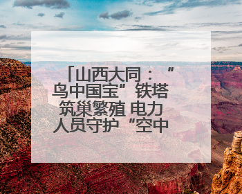 山西大同：“鸟中国宝”铁塔筑巢繁殖 电力人员守护“空中来客”