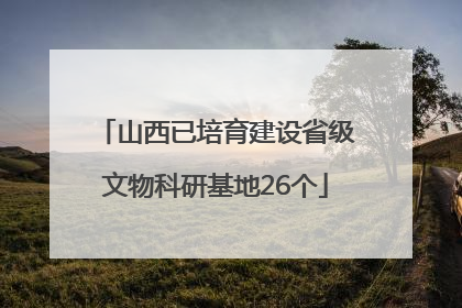 山西已培育建设省级文物科研基地26个
