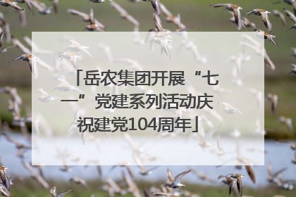 岳农集团开展“七一”党建系列活动庆祝建党104周年