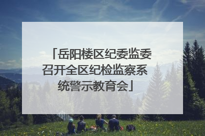 岳阳楼区纪委监委召开全区纪检监察系统警示教育会