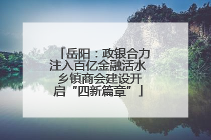 岳阳：政银合力注入百亿金融活水 乡镇商会建设开启“四新篇章”