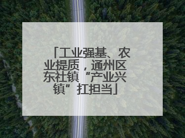 工业强基、农业提质，通州区东社镇“产业兴镇”扛担当