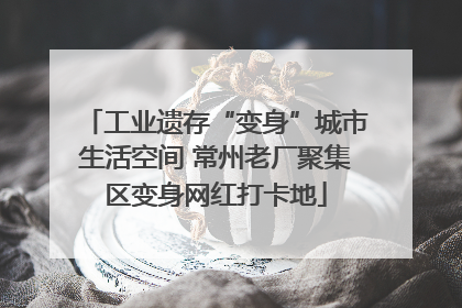 工业遗存“变身”城市生活空间 常州老厂聚集区变身网红打卡地