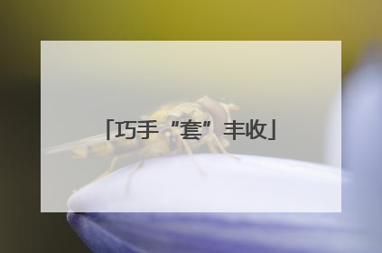 巧手“套”丰收