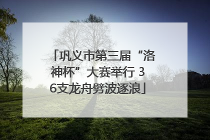 巩义市第三届“洛神杯”大赛举行 36支龙舟劈波逐浪