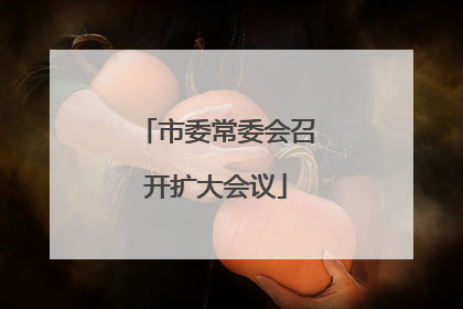 市委常委会召开扩大会议