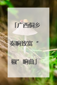 广西侗乡奏响致富“椒”响曲