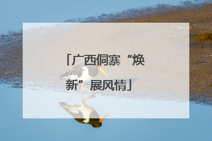广西侗寨“焕新”展风情
