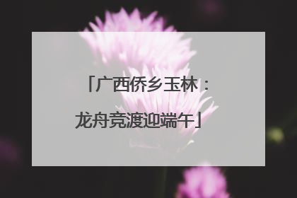 广西侨乡玉林：龙舟竞渡迎端午