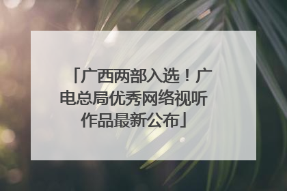 广西两部入选！广电总局优秀网络视听作品最新公布
