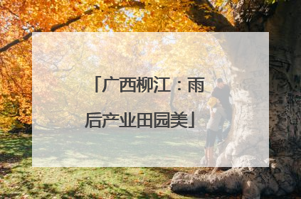 广西柳江：雨后产业田园美