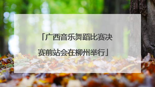广西音乐舞蹈比赛决赛前站会在柳州举行