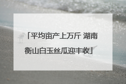 平均亩产上万斤 湖南衡山白玉丝瓜迎丰收