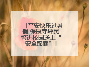 平安快乐过暑假 保康寺坪民警进校园送上“安全锦囊”