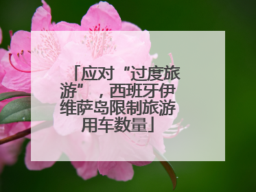 应对“过度旅游”，西班牙伊维萨岛限制旅游用车数量