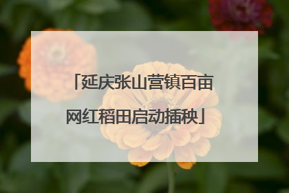 延庆张山营镇百亩网红稻田启动插秧