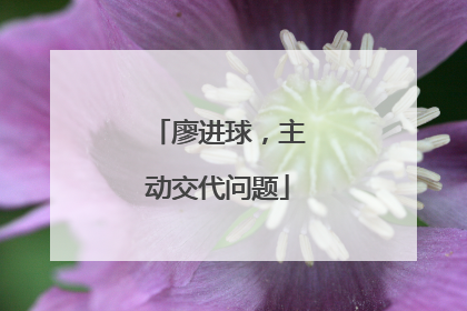 廖进球，主动交代问题