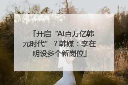 开启“AI百万亿韩元时代”？韩媒：李在明设多个新岗位