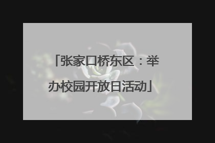 张家口桥东区：举办校园开放日活动