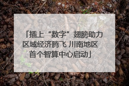 插上“数字”翅膀助力区域经济腾飞 川南地区首个智算中心启动